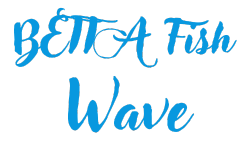 bettafishwave.com