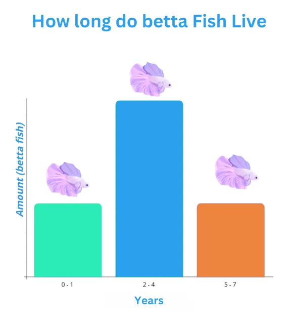 How long do betta Fish Live chart