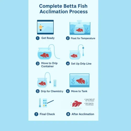Acclimation Process step by step