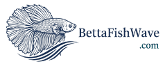 betta fish wave logo